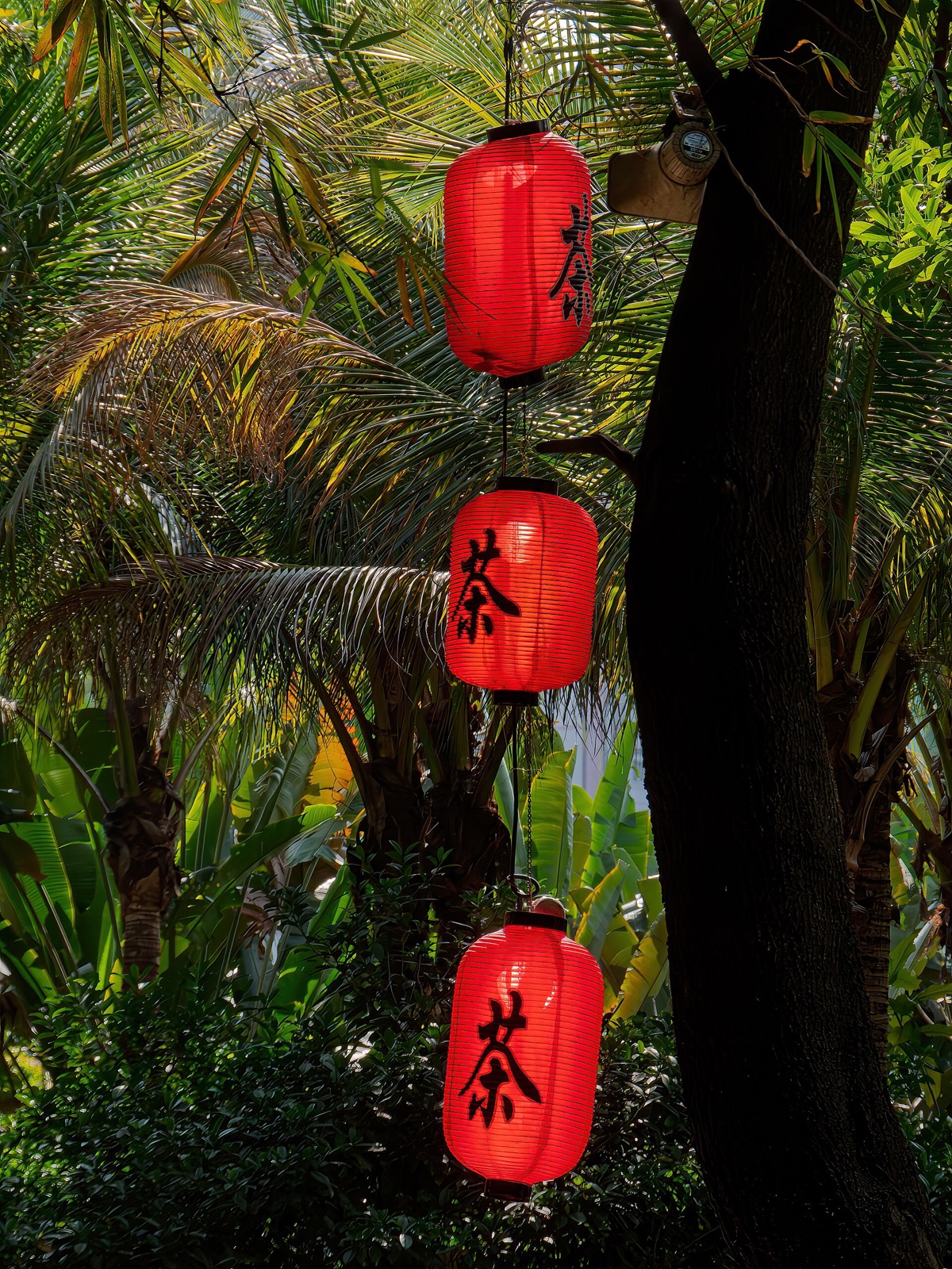 Lianhuashan Park
