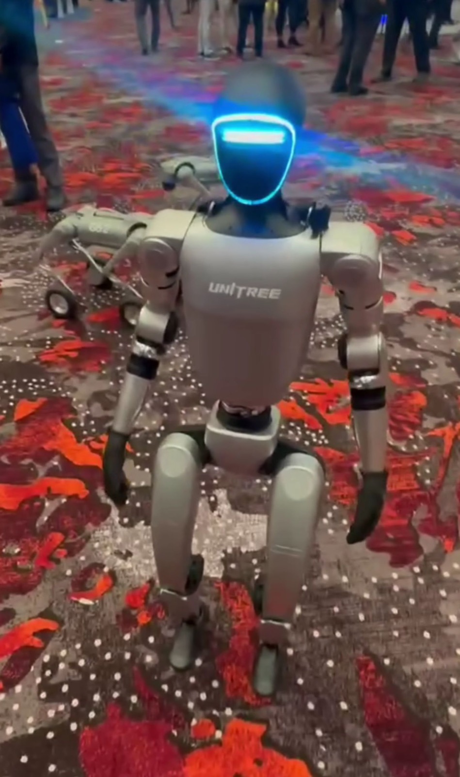 Humanoid robot